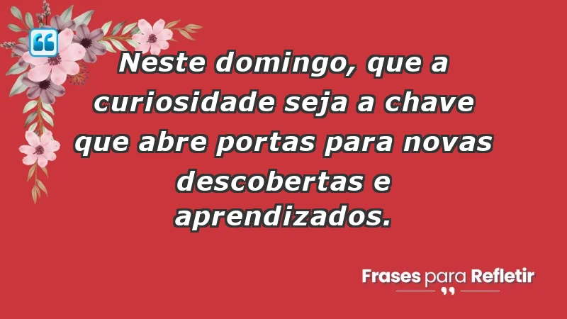 - Neste domingo, que a curiosidade seja a chave que abre portas para novas descobertas e aprendizados.