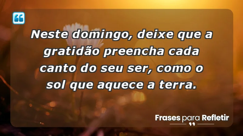 - Neste domingo, deixe que a gratidão preencha cada canto do seu ser, como o sol que aquece a terra.