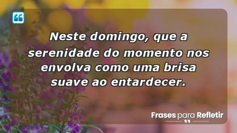 - Neste domingo, que a serenidade do momento nos envolva como uma brisa suave ao entardecer.