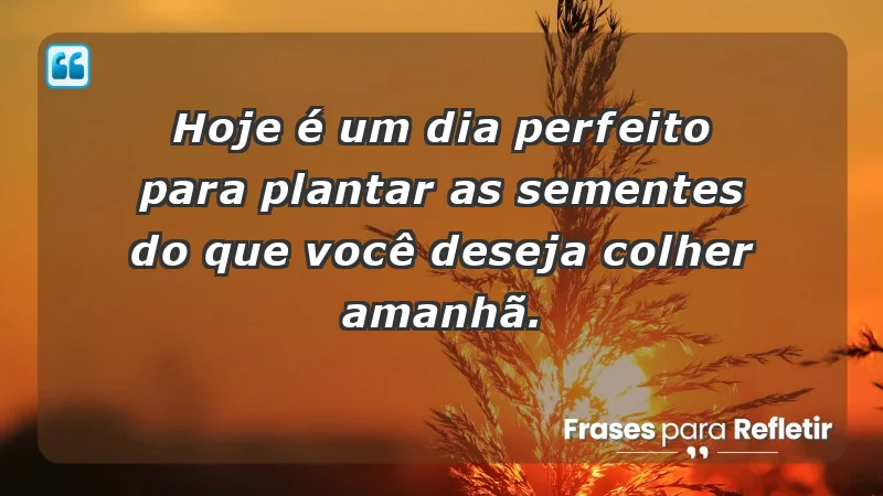 - Hoje é um dia perfeito para plantar as sementes do que você deseja colher amanhã.