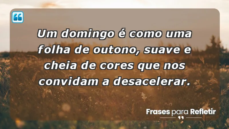 - Um domingo é como uma folha de outono, suave e cheia de cores que nos convidam a desacelerar.