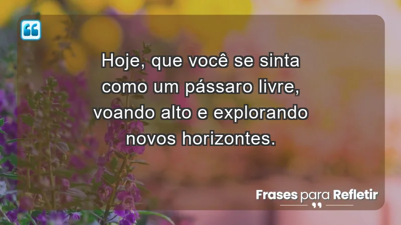 - Hoje, que você se sinta como um pássaro livre, voando alto e explorando novos horizontes.