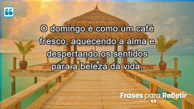 - O domingo é como um café fresco, aquecendo a alma e despertando os sentidos para a beleza da vida.