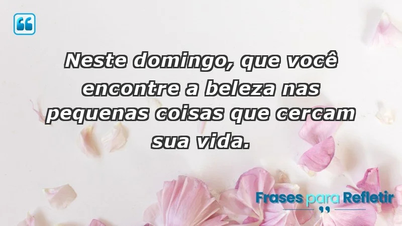 - Neste domingo, que você encontre a beleza nas pequenas coisas que cercam sua vida.