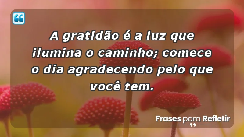 - A gratidão é a luz que ilumina o caminho; comece o dia agradecendo pelo que você tem.