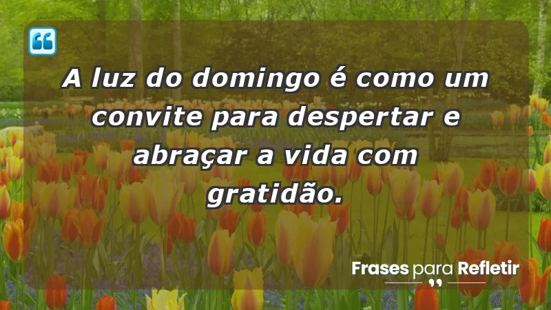 - A luz do domingo é como um convite para despertar e abraçar a vida com gratidão.