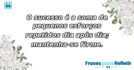 O sucesso é a soma de pequenos esforços repetidos dia após dia; mantenha-se firme.