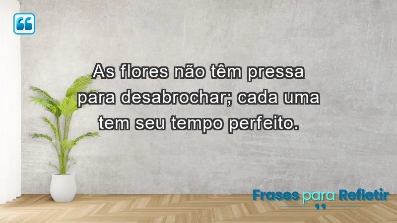 - As flores não têm pressa para desabrochar; cada uma tem seu tempo perfeito.