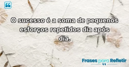 O sucesso é a soma de pequenos esforços repetidos dia após dia.