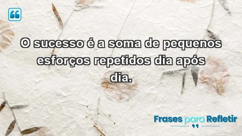 - O sucesso é a soma de pequenos esforços repetidos dia após dia.