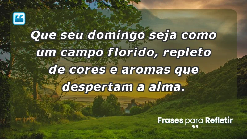 - Que seu domingo seja como um campo florido, repleto de cores e aromas que despertam a alma.