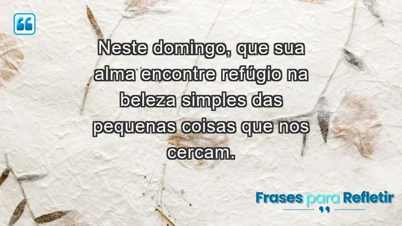 - Neste domingo, que sua alma encontre refúgio na beleza simples das pequenas coisas que nos cercam.