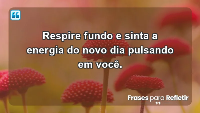 - Respire fundo e sinta a energia do novo dia pulsando em você.