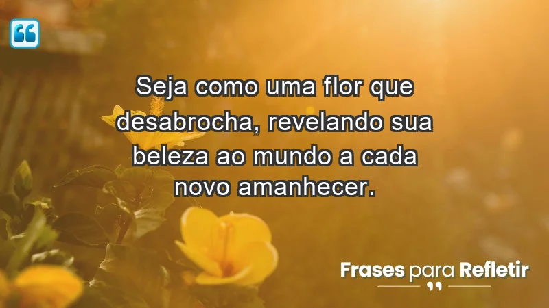 - Seja como uma flor que desabrocha, revelando sua beleza ao mundo a cada novo amanhecer.