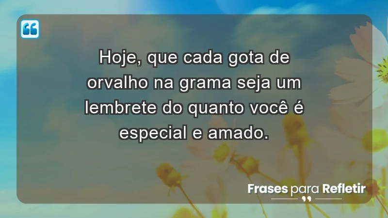 - Hoje, que cada gota de orvalho na grama seja um lembrete do quanto você é especial e amado.