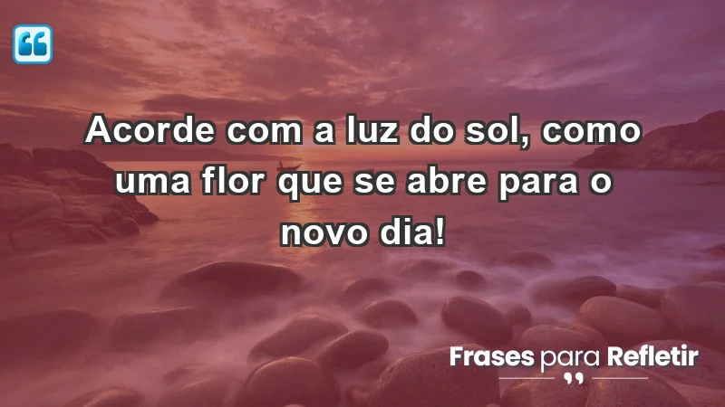 - Acorde com a luz do sol, como uma flor que se abre para o novo dia!