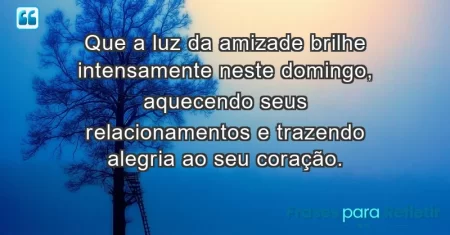 Que a luz da amizade brilhe intensamente neste domingo, aquecendo seus relacionamentos e trazendo alegria ao seu coração.
