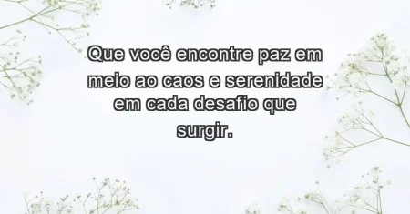 Que você encontre paz em meio ao caos e serenidade em cada desafio que surgir.