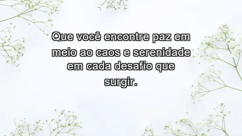 - Que você encontre paz em meio ao caos e serenidade em cada desafio que surgir.