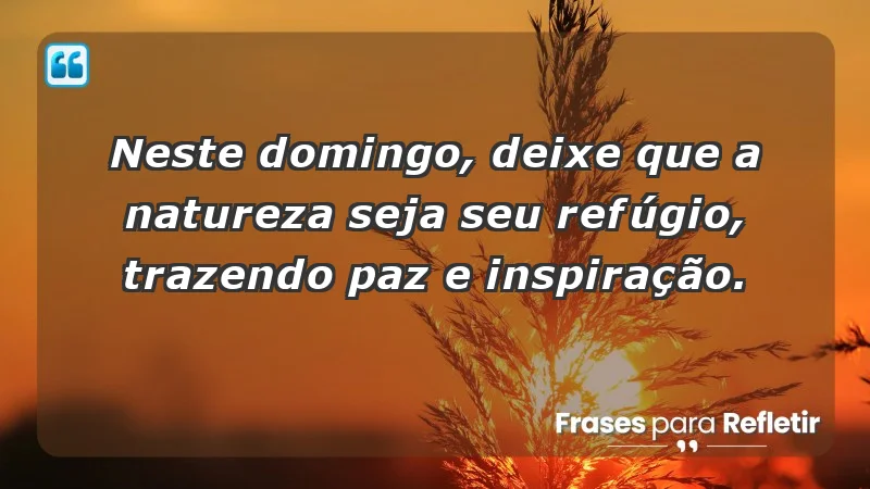 - Neste domingo, deixe que a natureza seja seu refúgio, trazendo paz e inspiração.