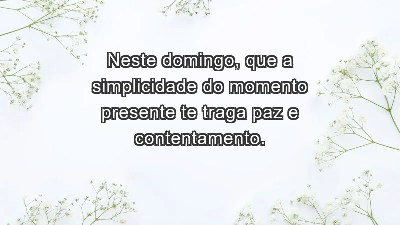 - Neste domingo, que a simplicidade do momento presente te traga paz e contentamento.