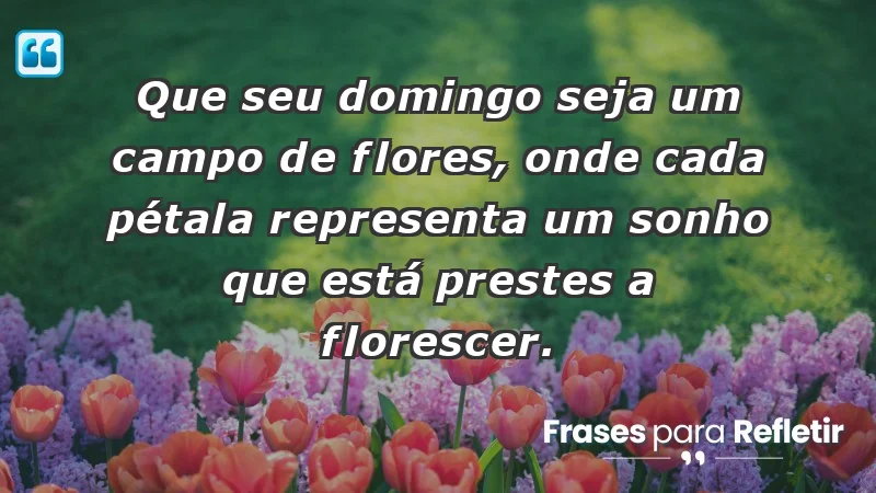 - Que seu domingo seja um campo de flores, onde cada pétala representa um sonho que está prestes a florescer.