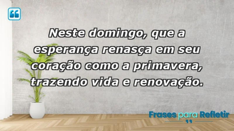 - Neste domingo, que a esperança renasça em seu coração como a primavera, trazendo vida e renovação.