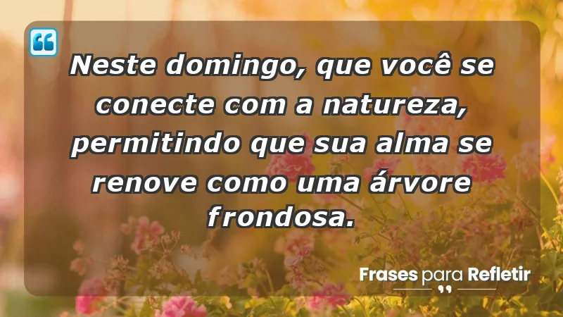 - Neste domingo, que você se conecte com a natureza, permitindo que sua alma se renove como uma árvore frondosa.