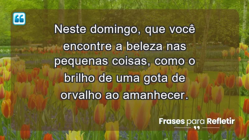 - Neste domingo, que você encontre a beleza nas pequenas coisas, como o brilho de uma gota de orvalho ao amanhecer.