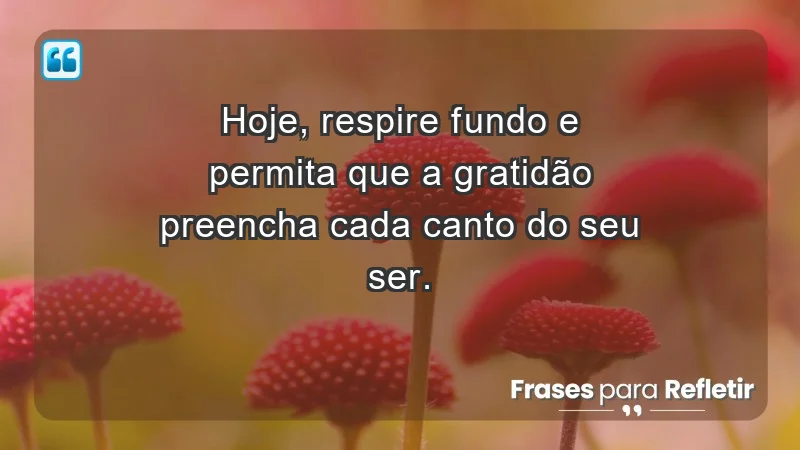 - Hoje, respire fundo e permita que a gratidão preencha cada canto do seu ser.