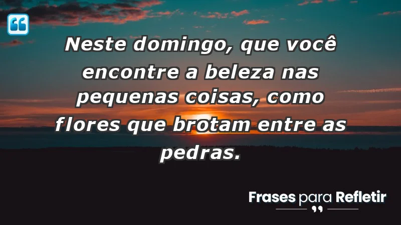 - Neste domingo, que você encontre a beleza nas pequenas coisas, como flores que brotam entre as pedras.