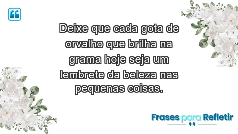 - Deixe que cada gota de orvalho que brilha na grama hoje seja um lembrete da beleza nas pequenas coisas.