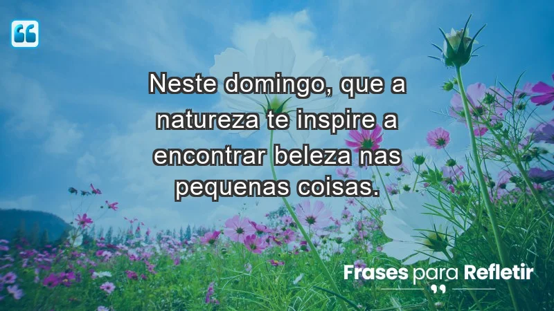 - Neste domingo, que a natureza te inspire a encontrar beleza nas pequenas coisas.