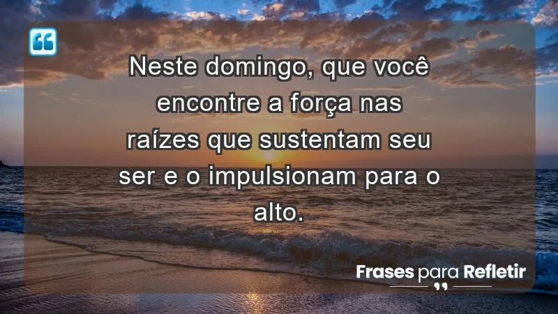 - Neste domingo, que você encontre a força nas raízes que sustentam seu ser e o impulsionam para o alto.