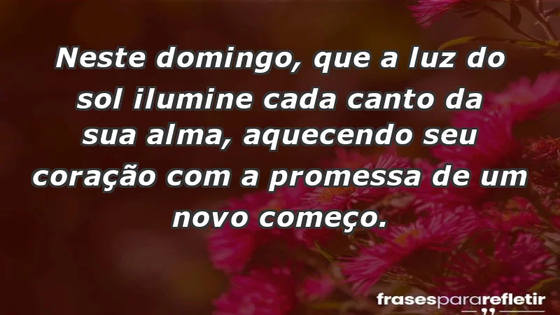 - Neste domingo, que a luz do sol ilumine cada canto da sua alma, aquecendo seu coração com a promessa de um novo começo.