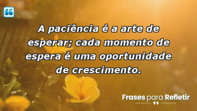 - A paciência é a arte de esperar; cada momento de espera é uma oportunidade de crescimento.