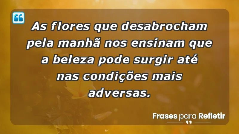 - As flores que desabrocham pela manhã nos ensinam que a beleza pode surgir até nas condições mais adversas.