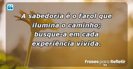 A sabedoria é o farol que ilumina o caminho; busque-a em cada experiência vivida.