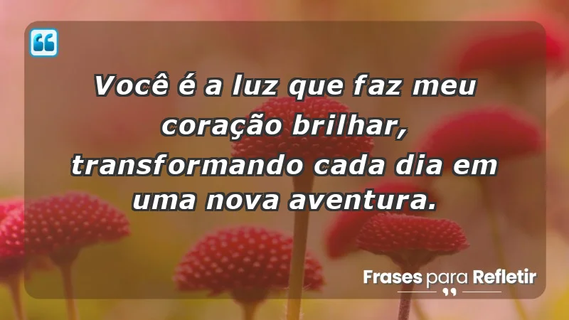 - Você é a luz que faz meu coração brilhar, transformando cada dia em uma nova aventura.