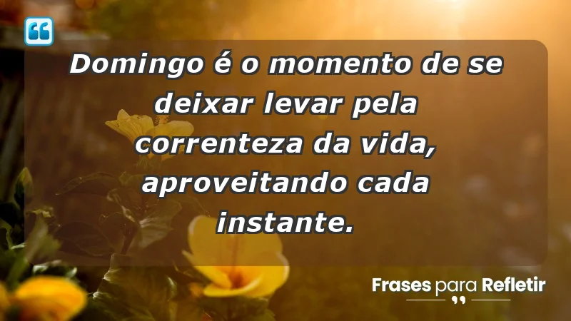 - Domingo é o momento de se deixar levar pela correnteza da vida, aproveitando cada instante.