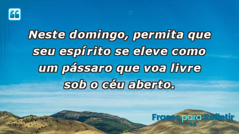 - Neste domingo, permita que seu espírito se eleve como um pássaro que voa livre sob o céu aberto.