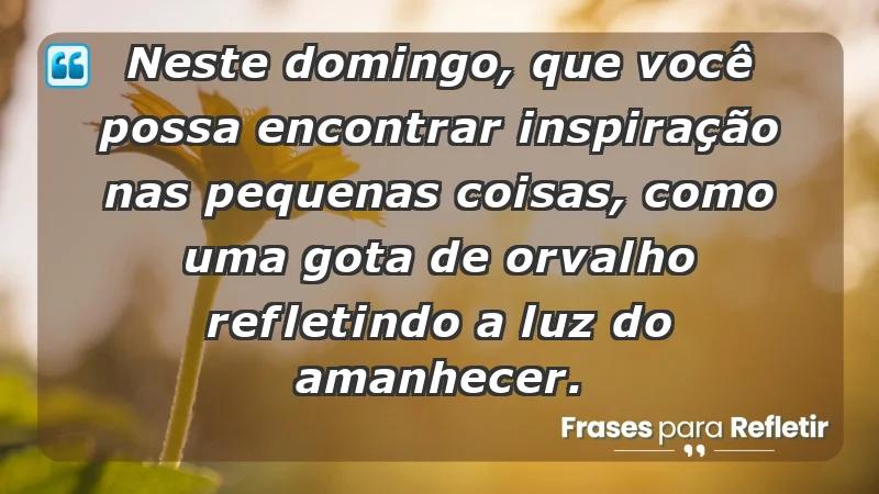 - Neste domingo, que você possa encontrar inspiração nas pequenas coisas, como uma gota de orvalho refletindo a luz do amanhecer.