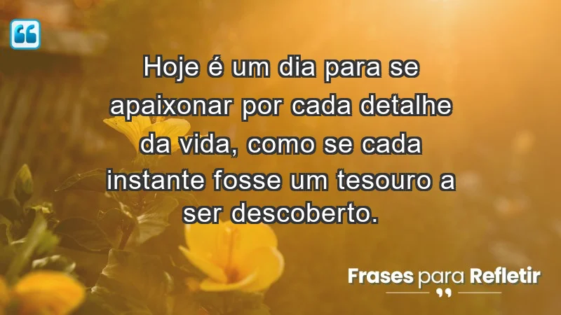 - Hoje é um dia para se apaixonar por cada detalhe da vida, como se cada instante fosse um tesouro a ser descoberto.