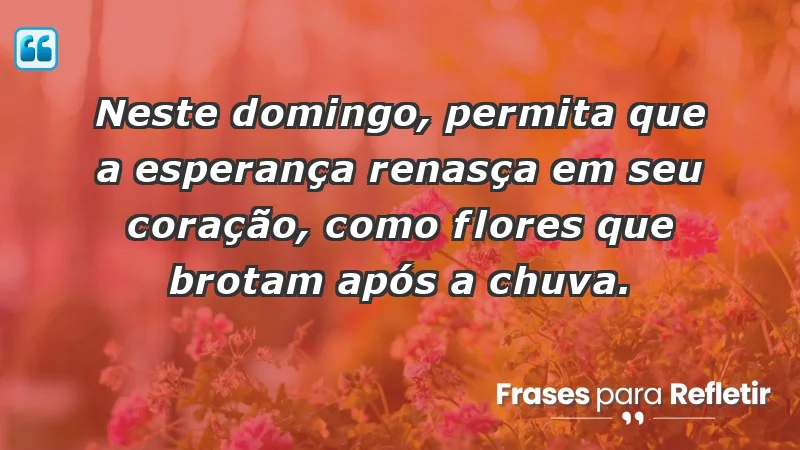 - Neste domingo, permita que a esperança renasça em seu coração, como flores que brotam após a chuva.