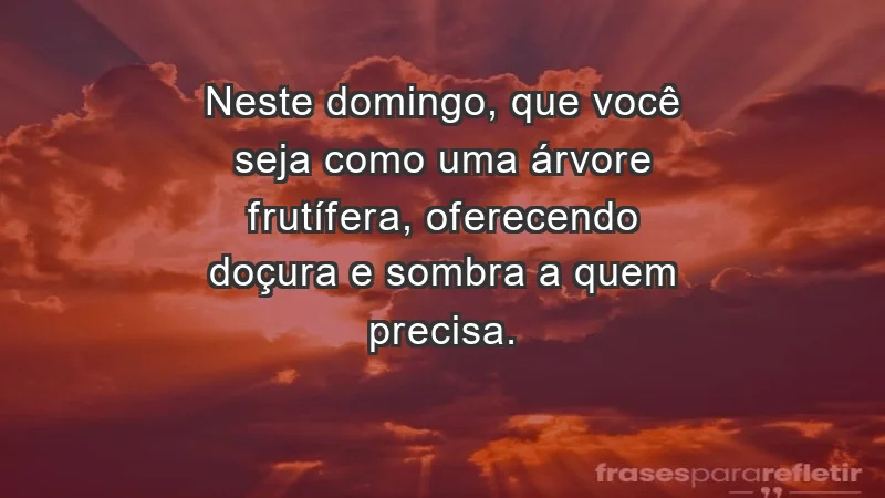 - Neste domingo, que você seja como uma árvore frutífera, oferecendo doçura e sombra a quem precisa.