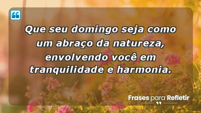 - Que seu domingo seja como um abraço da natureza, envolvendo você em tranquilidade e harmonia.