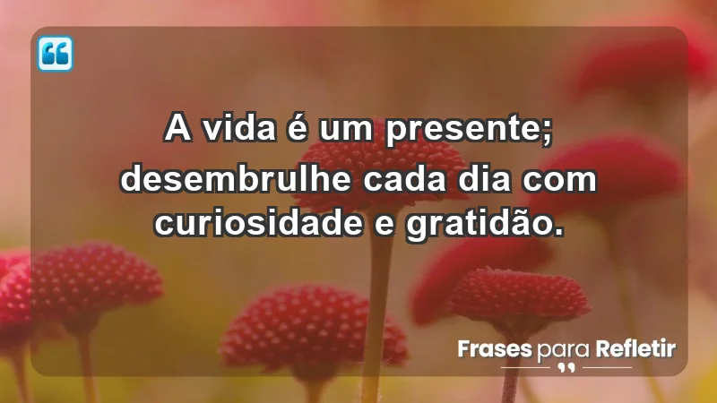 - A vida é um presente; desembrulhe cada dia com curiosidade e gratidão.