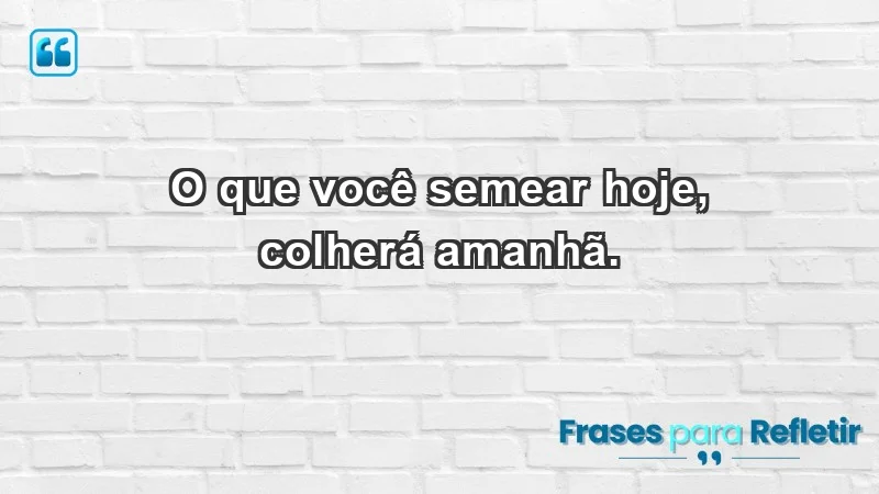 - O que você semear hoje, colherá amanhã.