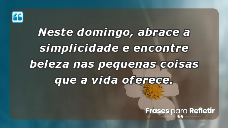 - Neste domingo, abrace a simplicidade e encontre beleza nas pequenas coisas que a vida oferece.