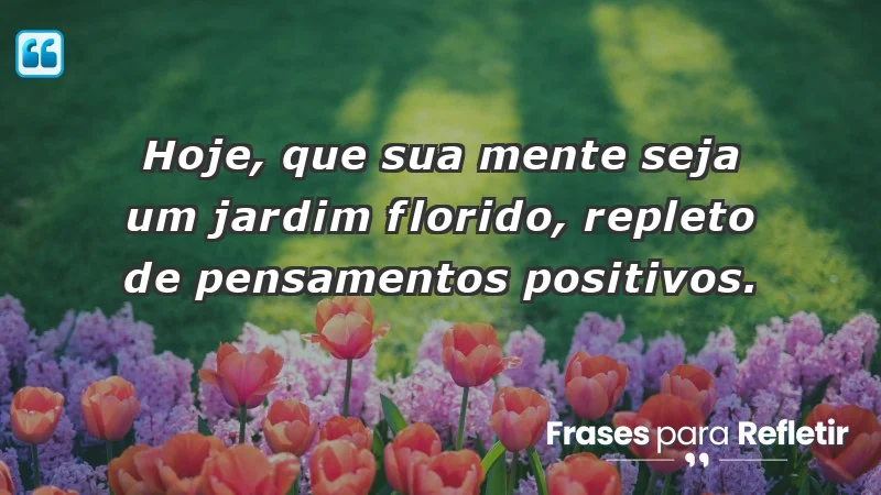 - Hoje, que sua mente seja um jardim florido, repleto de pensamentos positivos.